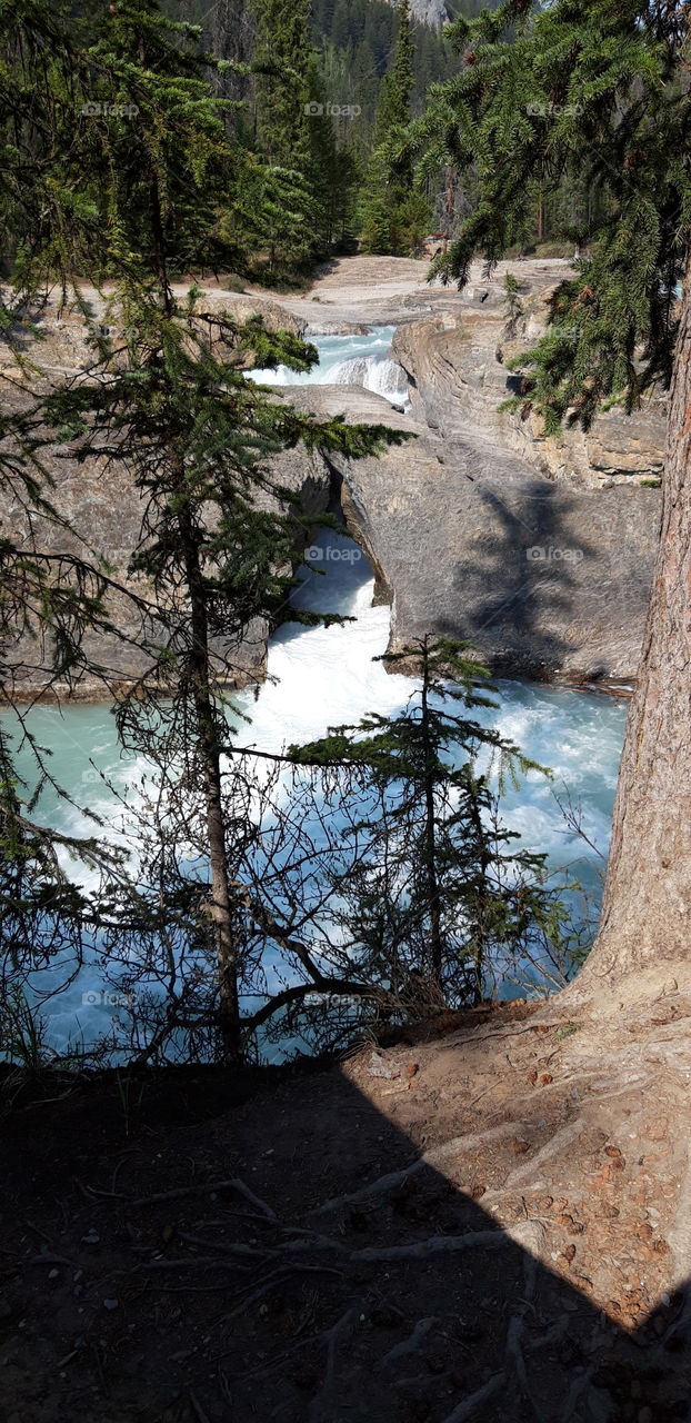 the natural bridge in yoho park Canada