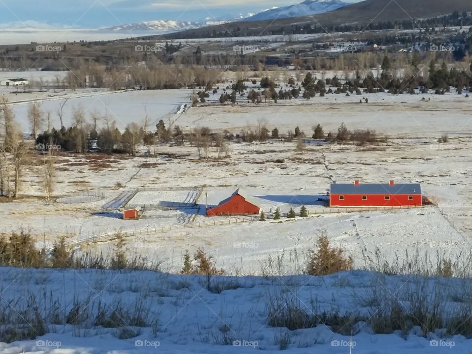 Winter ranch