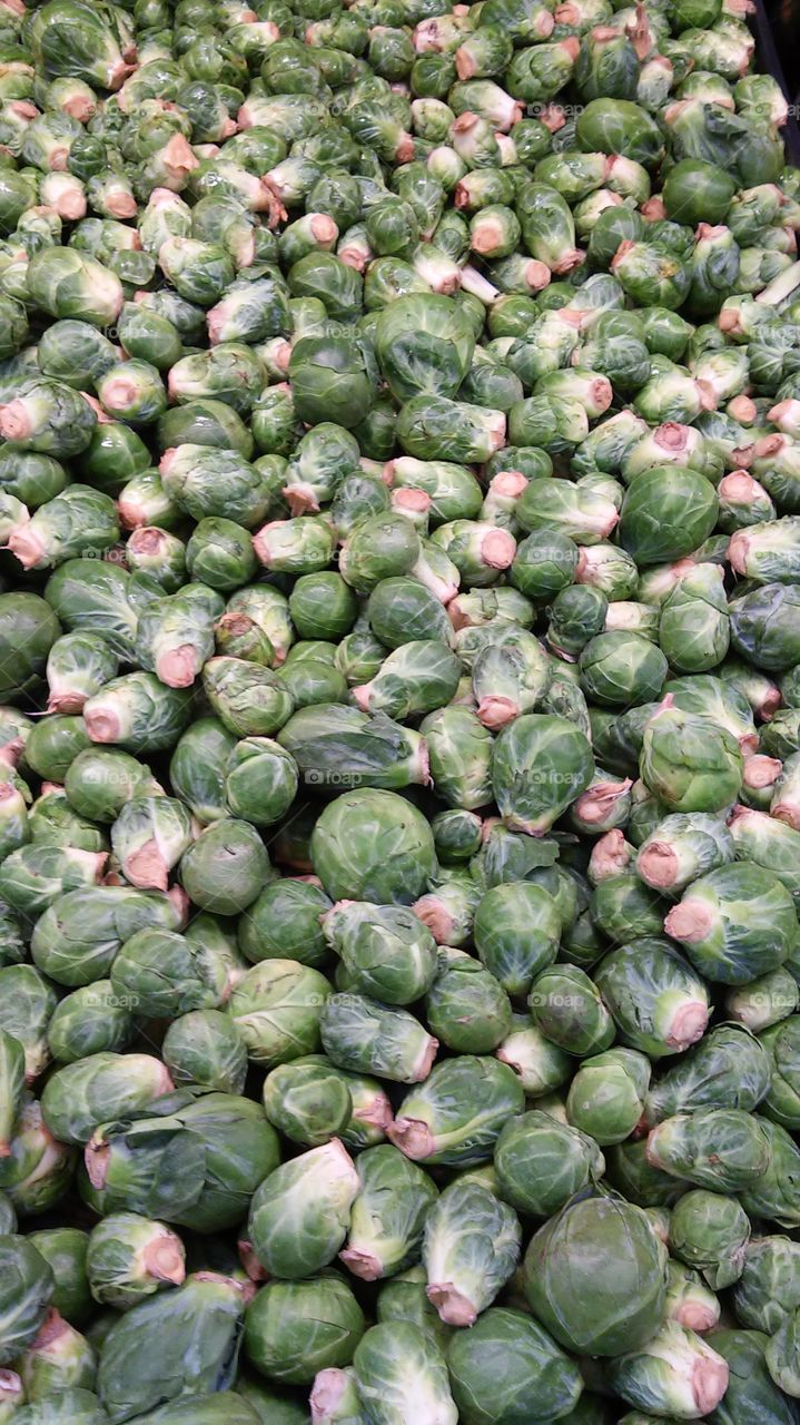 Brussel Sprouts. Brussel sprouts
