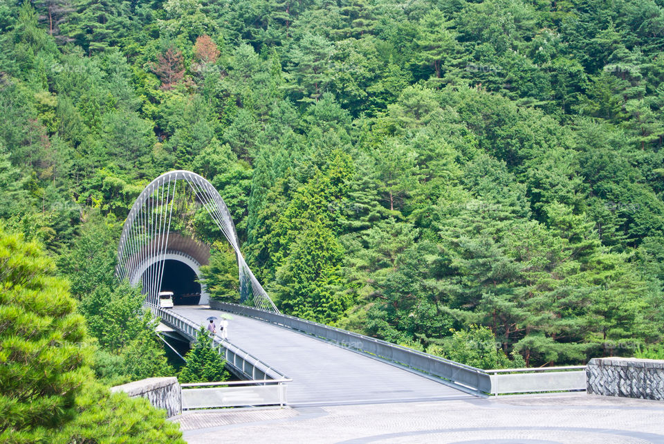 Bridge to Shangri la in Japan.