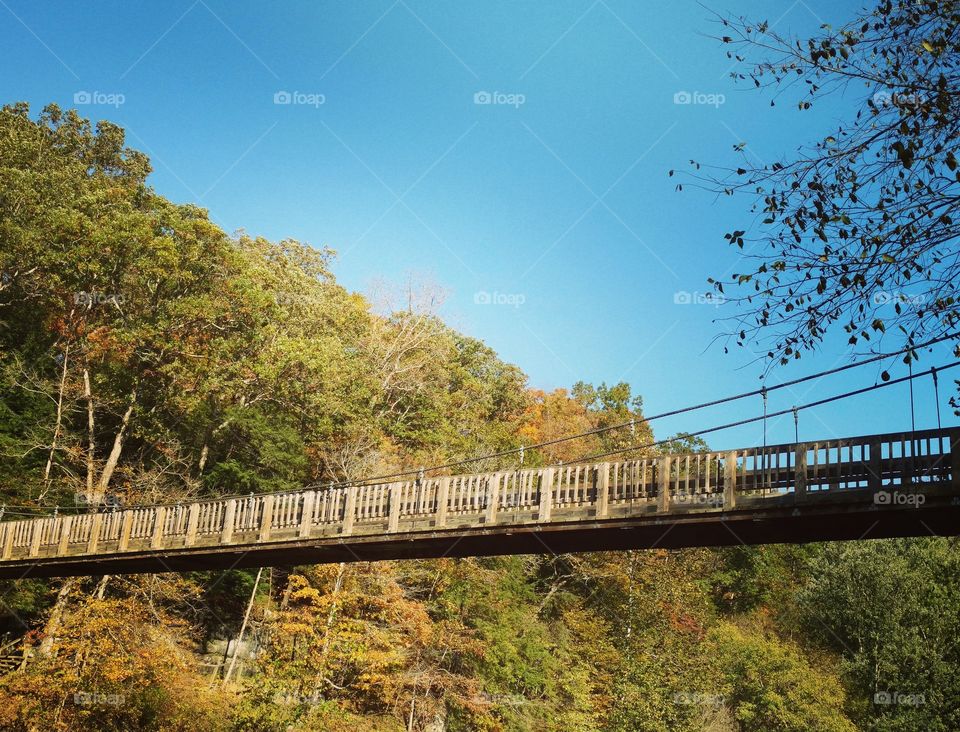 autumn suspension bridge