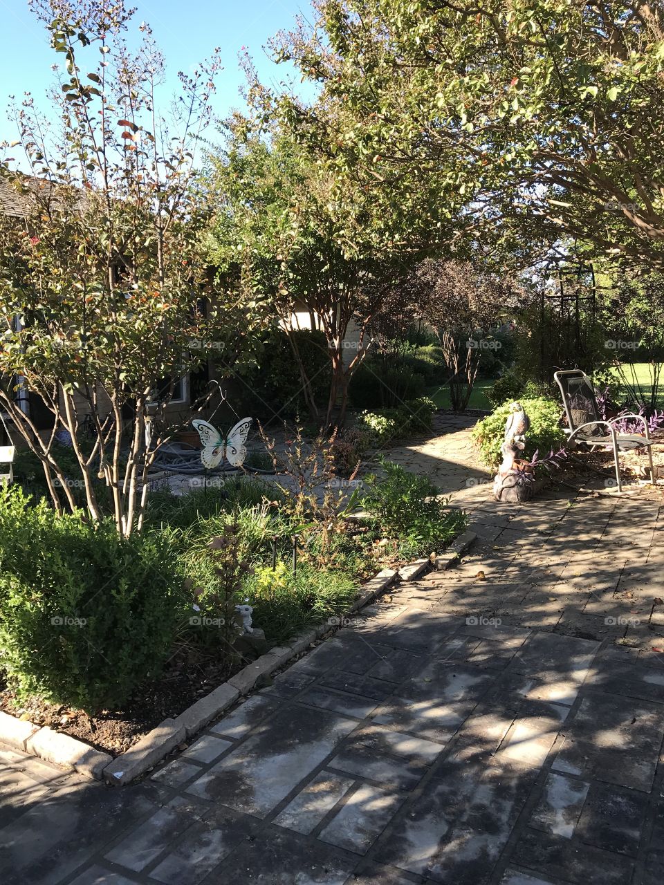 My water efficient Texas yard 