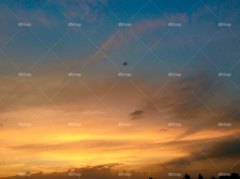 Golden sky