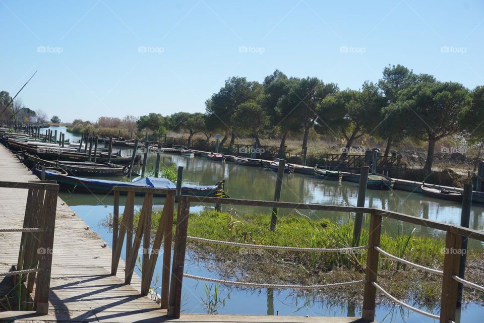 Port#boats#lake#nature#wood#walk