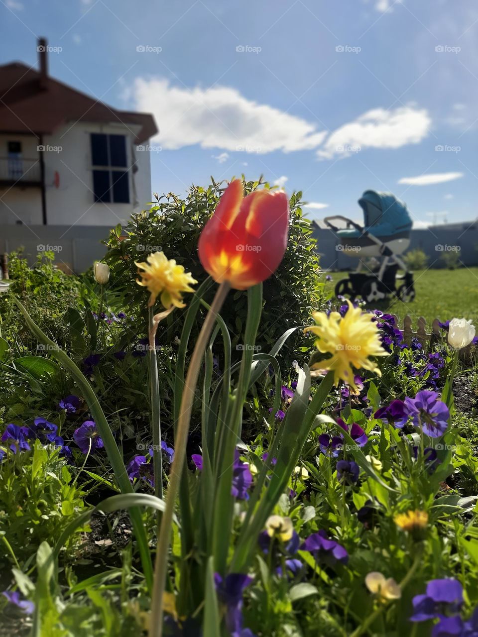 A house, a child, a beautiful garden... dreams are starting to come true!