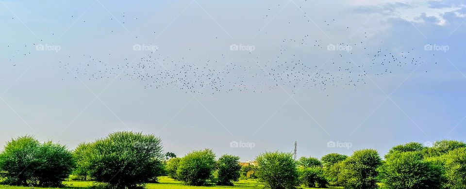 nature's Beauty 😍