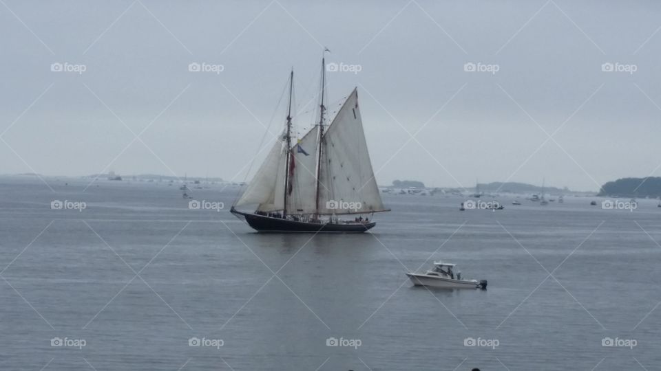 tall ships Boston