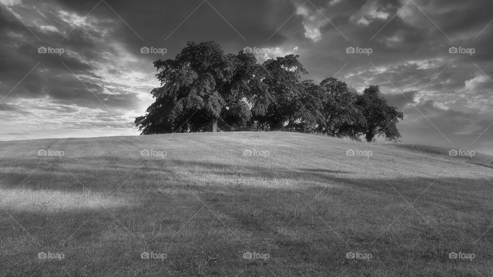 Hills, trees and sky