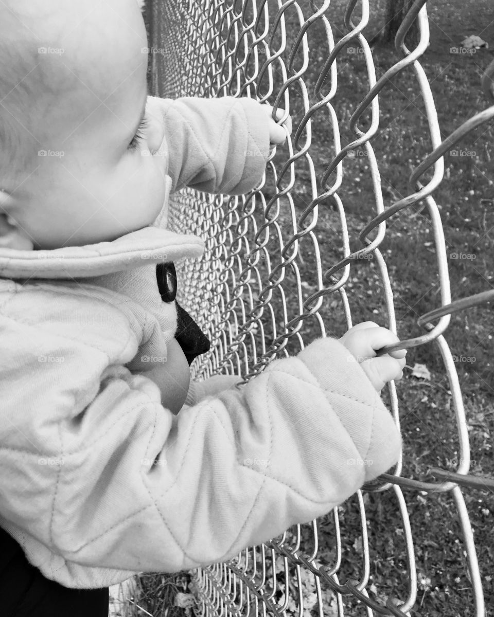 Looking through the fence