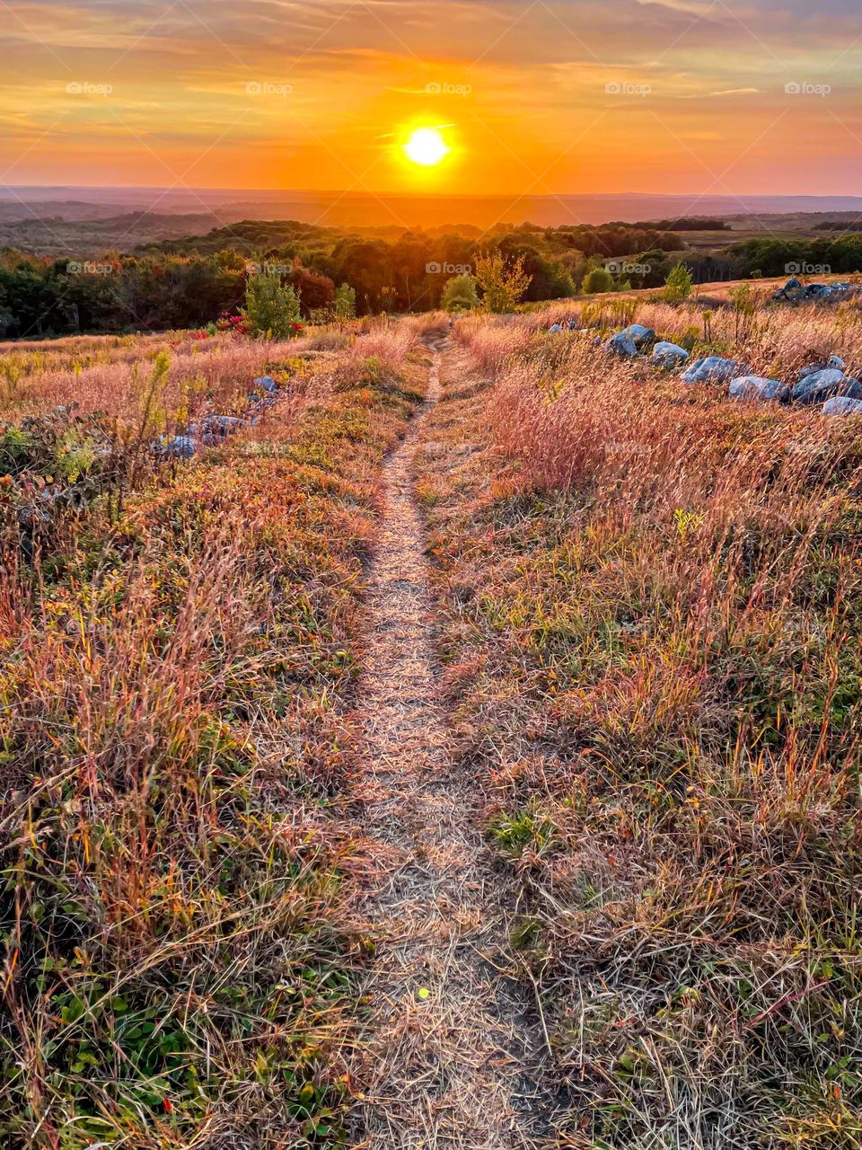 The Golden Hour.  Fall sunset over the blueberry barrens.