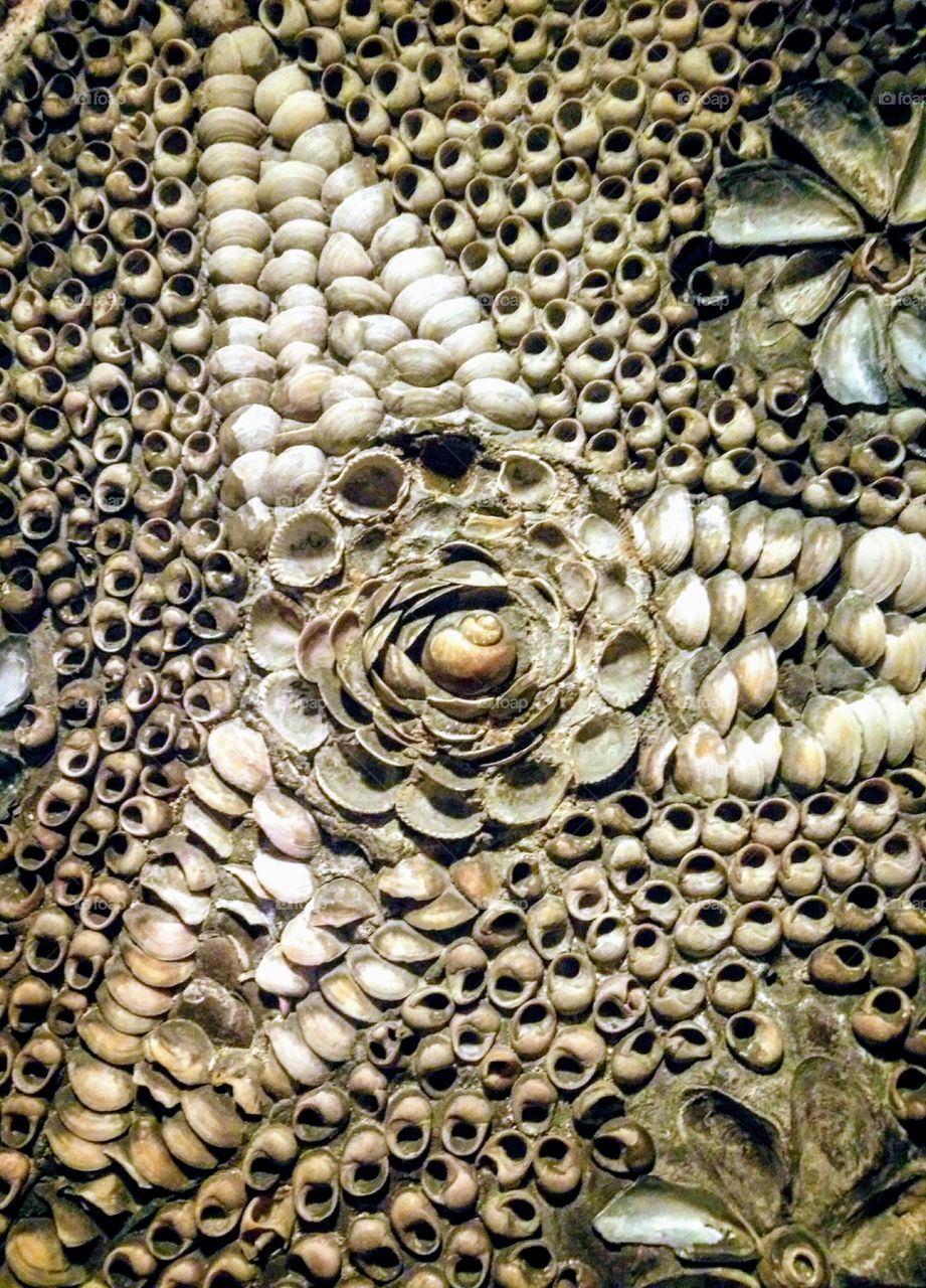 Ornate shell mosaic