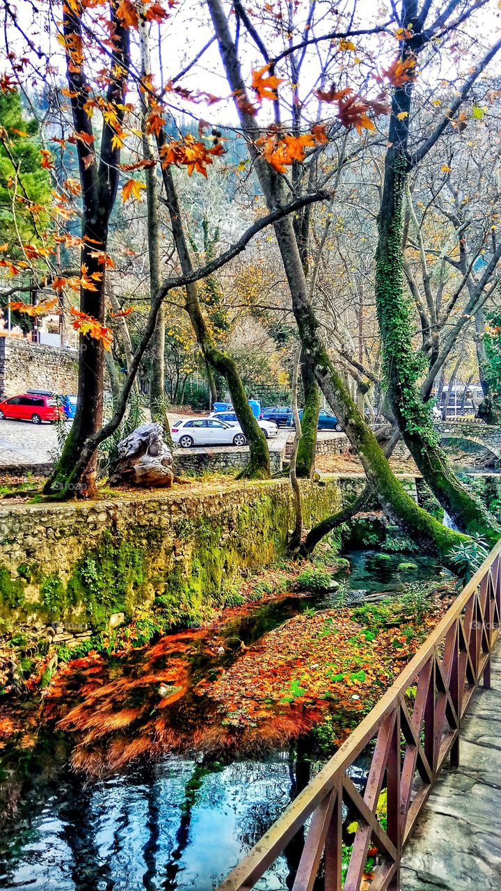 Trees arching a colorful canal full of fallen leaves and moss in Piges Kryas,Livadeia