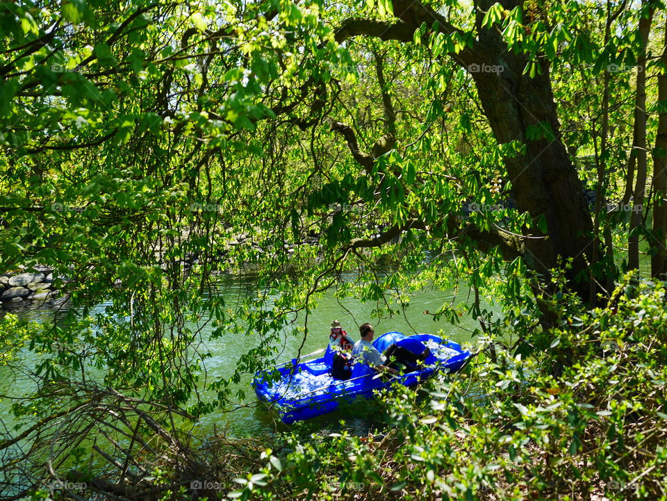 A tourist boat on the pond