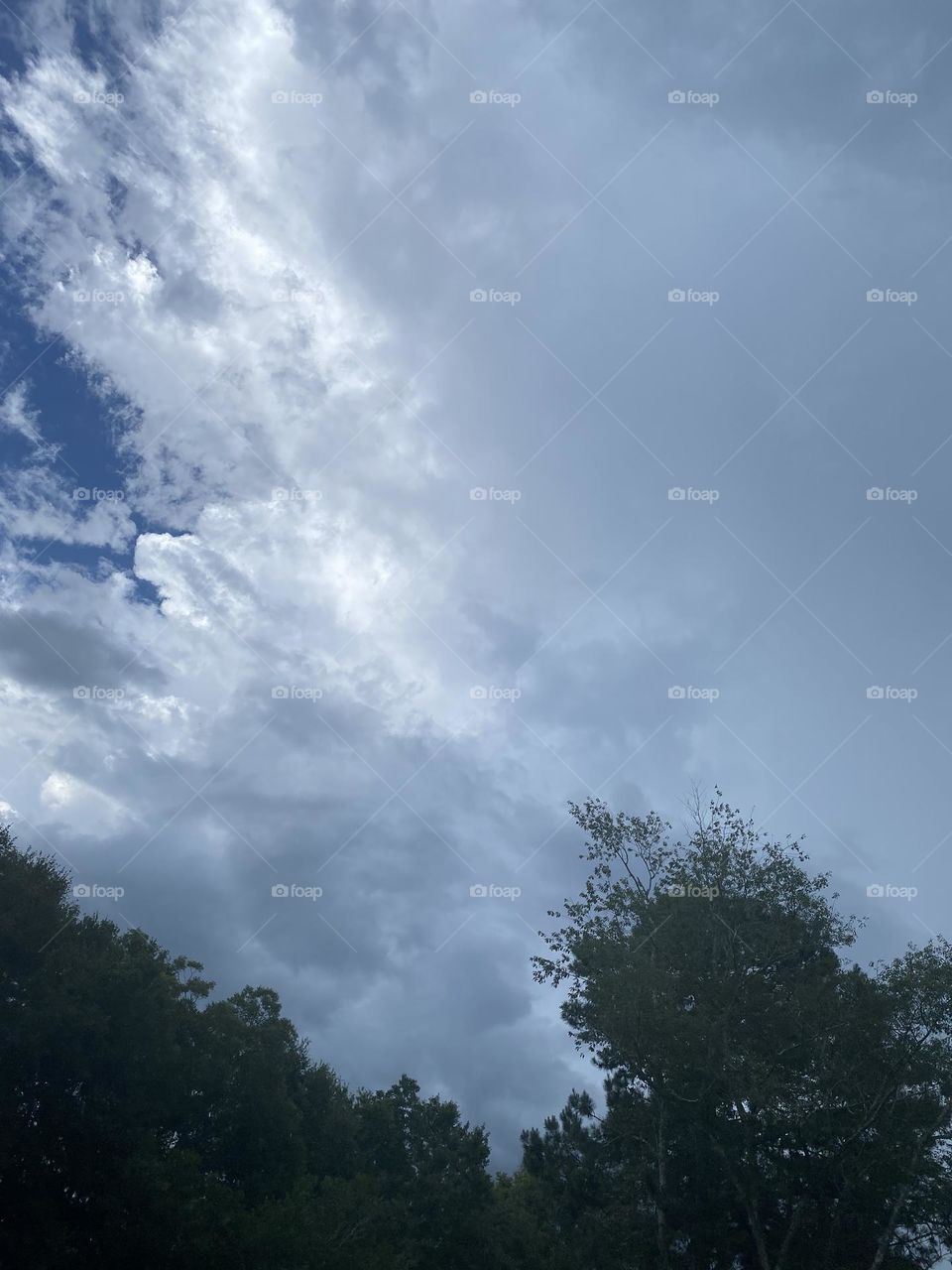 The joy of this beautiful sky 