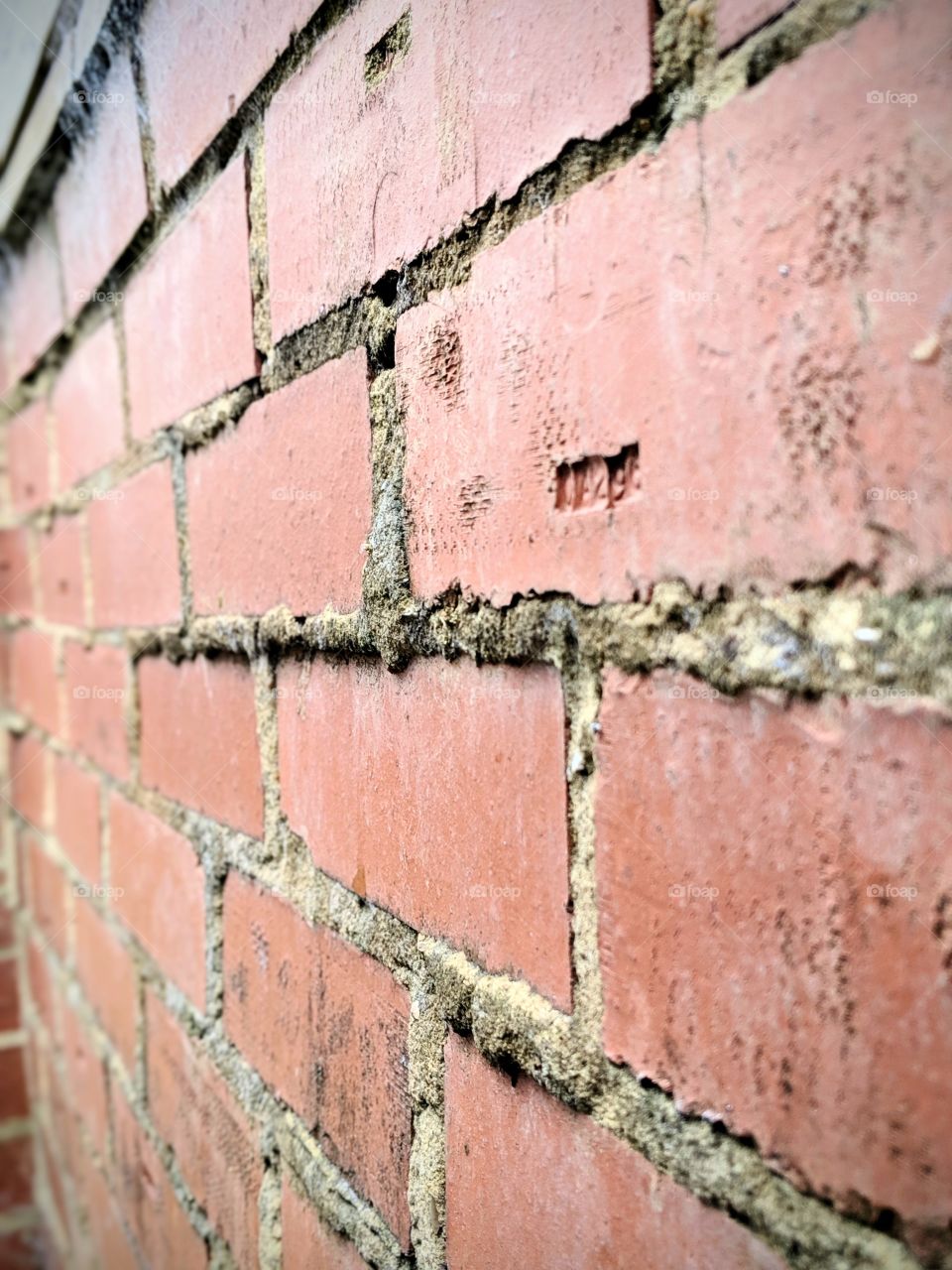 Brick Wall