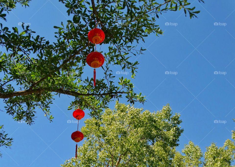 Red Chinese Lanterns