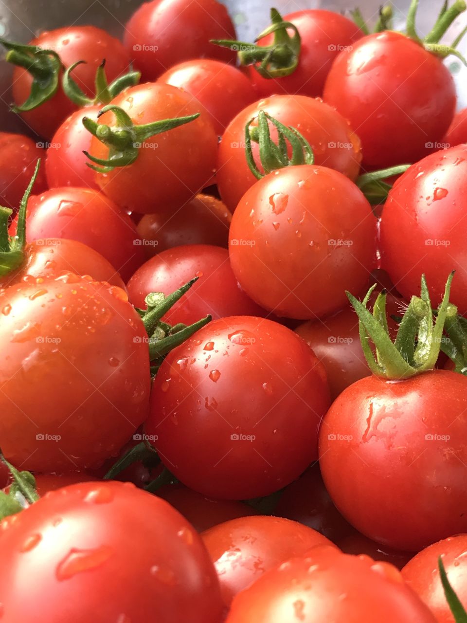 Fresh cherry tomatoes fresh from the garden 