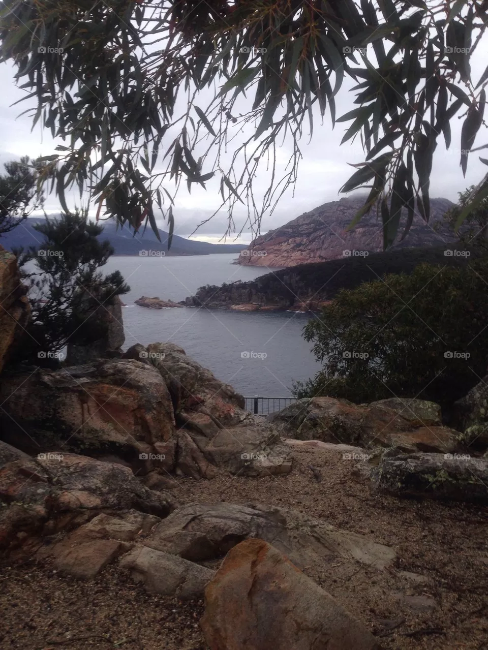 Scenary