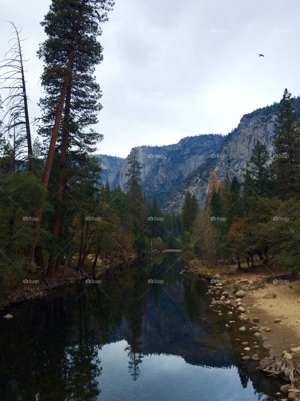 mirror Yosemite 