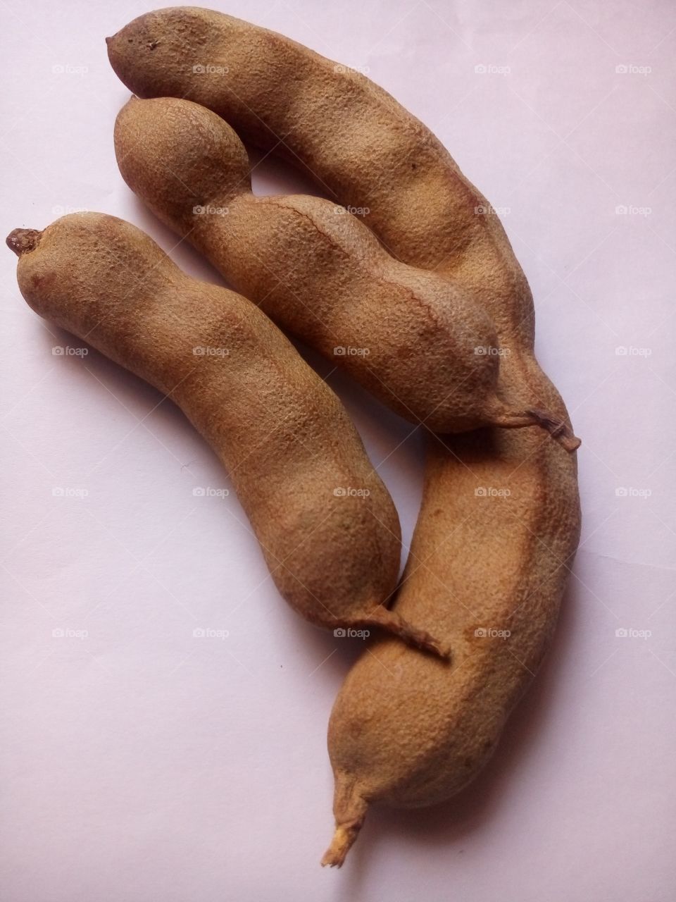 Tamarind - (Tamarindus indica) is a leguminous tree in the family Fabaceae ... that it is sometimes reported to be indigenous there, where it is known as imli in Hindi-Urdu. 
