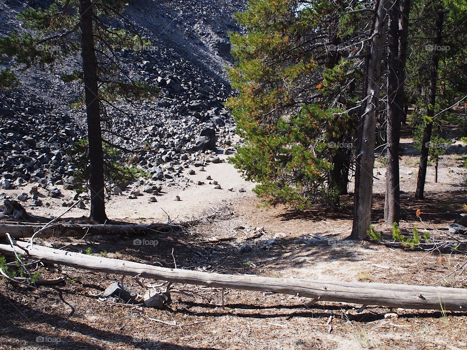 Textured Obsidian and hardened lava rock on a sunny fall day at the Big Obsidian Flow in the Newberry National Volcanic Monument in Central Oregon.