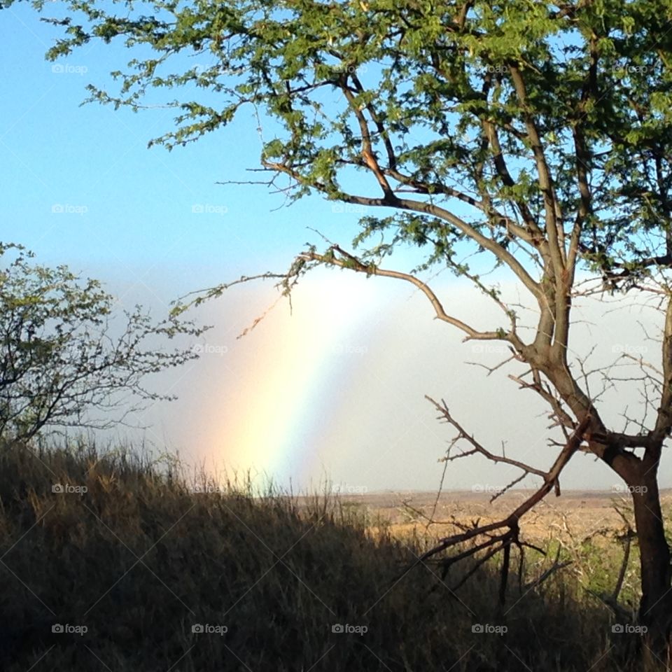 Waikoloa rainbow