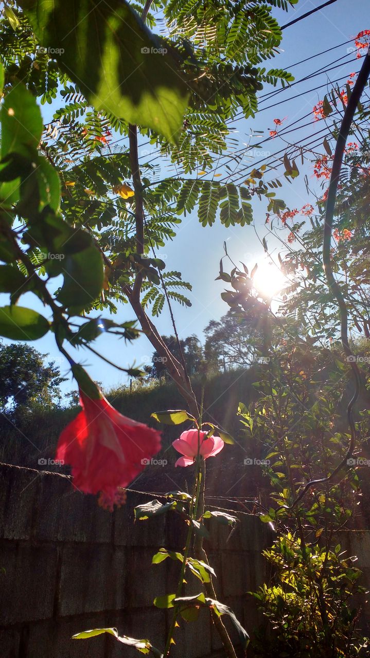 simplesmente acontece