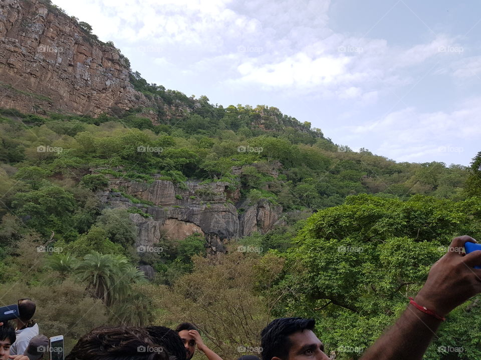 sariska forest