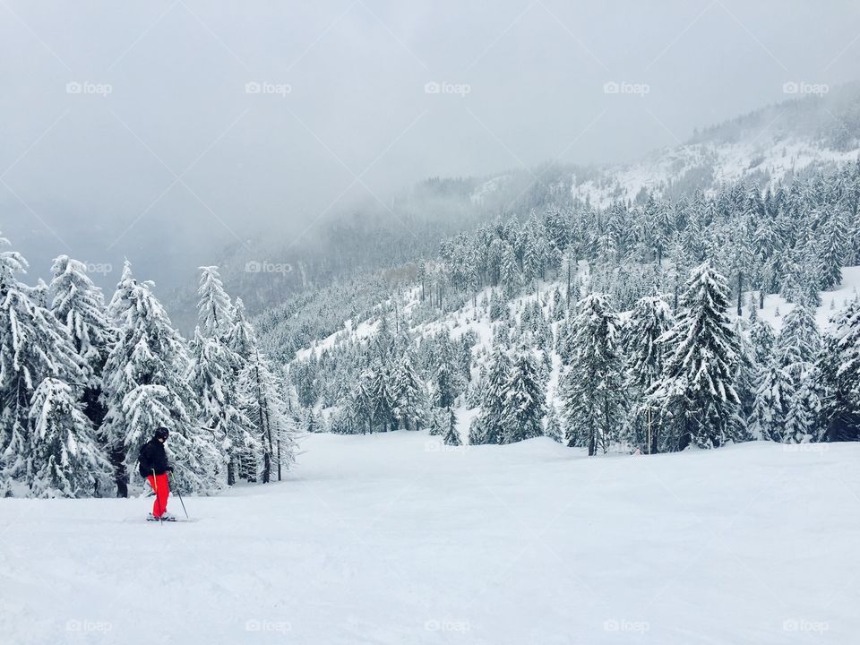 Man in ski costume surrounded by snowy evergreen forest
