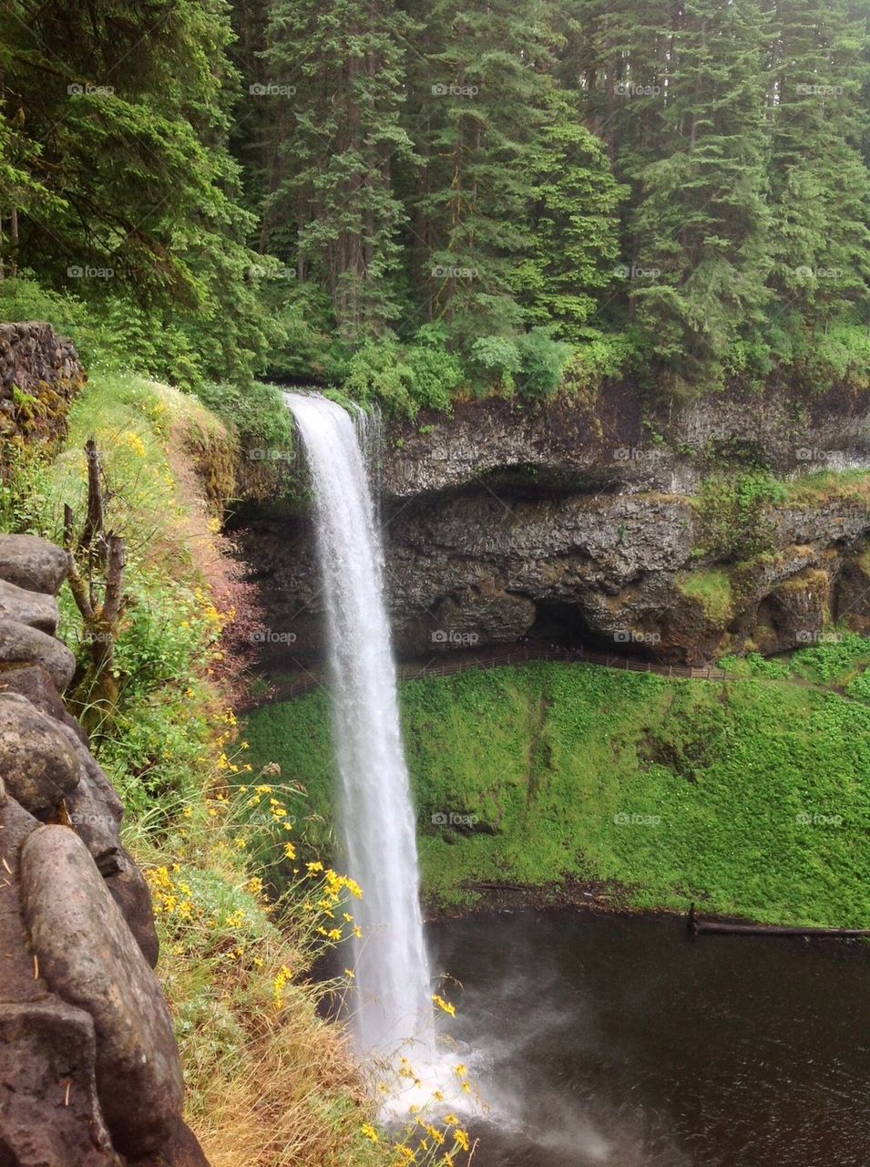 Northwest waterfall