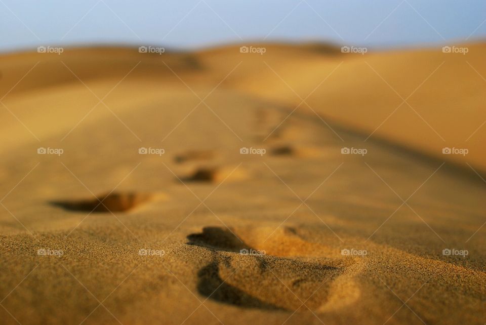 Steps in the sand- Thar desert, India