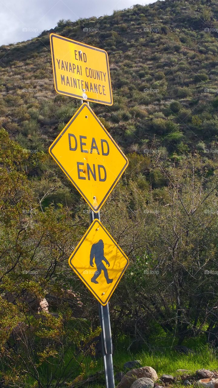 Dead End Sasquatch Crossing