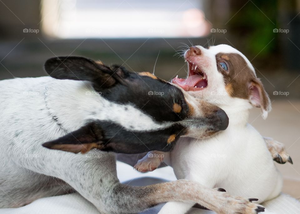 brincando  com a mamãe