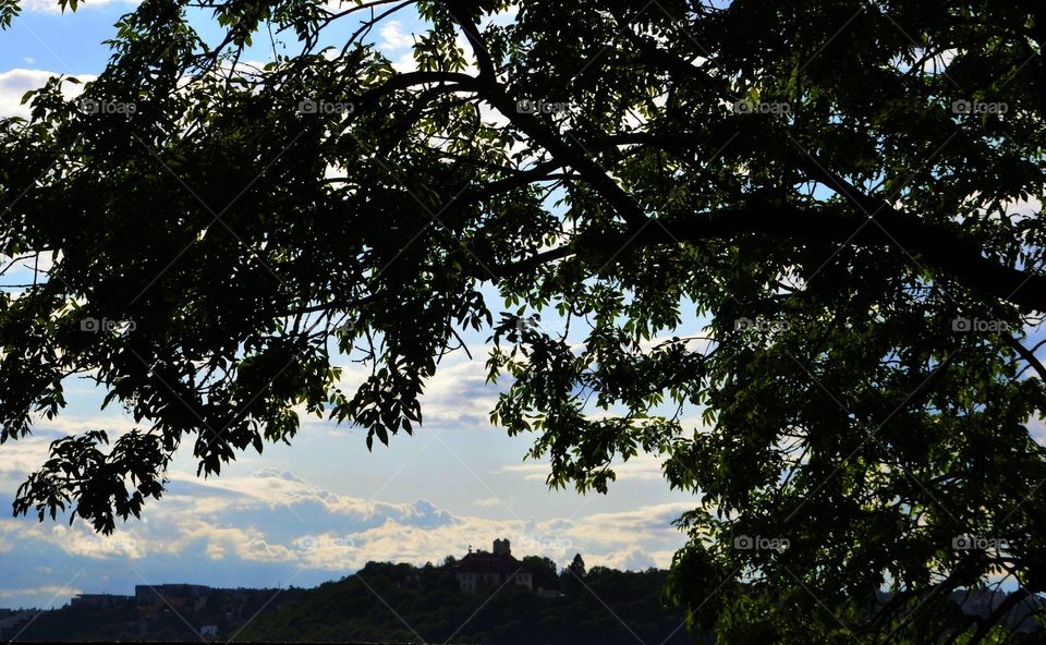 let nature show us beauty