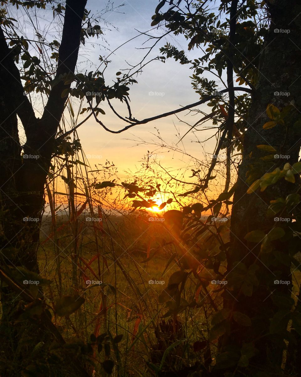 Nosso lindo amanhecer caipira, às 07h00, no Bairro Medeiros (Jundiaí -SP, Brasil)