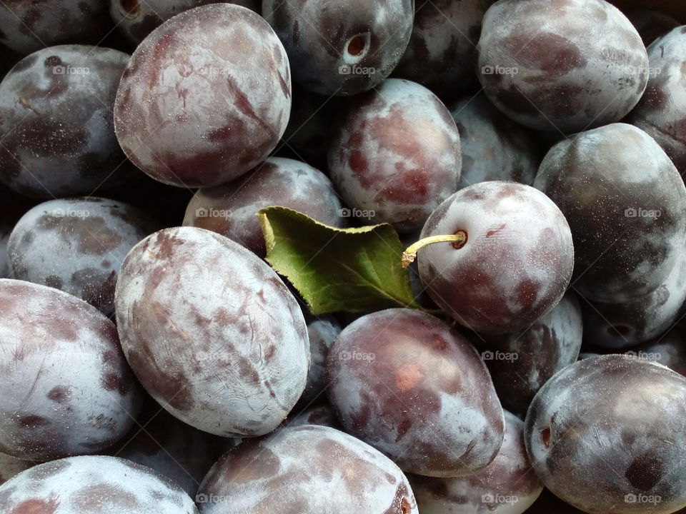 background from prunes