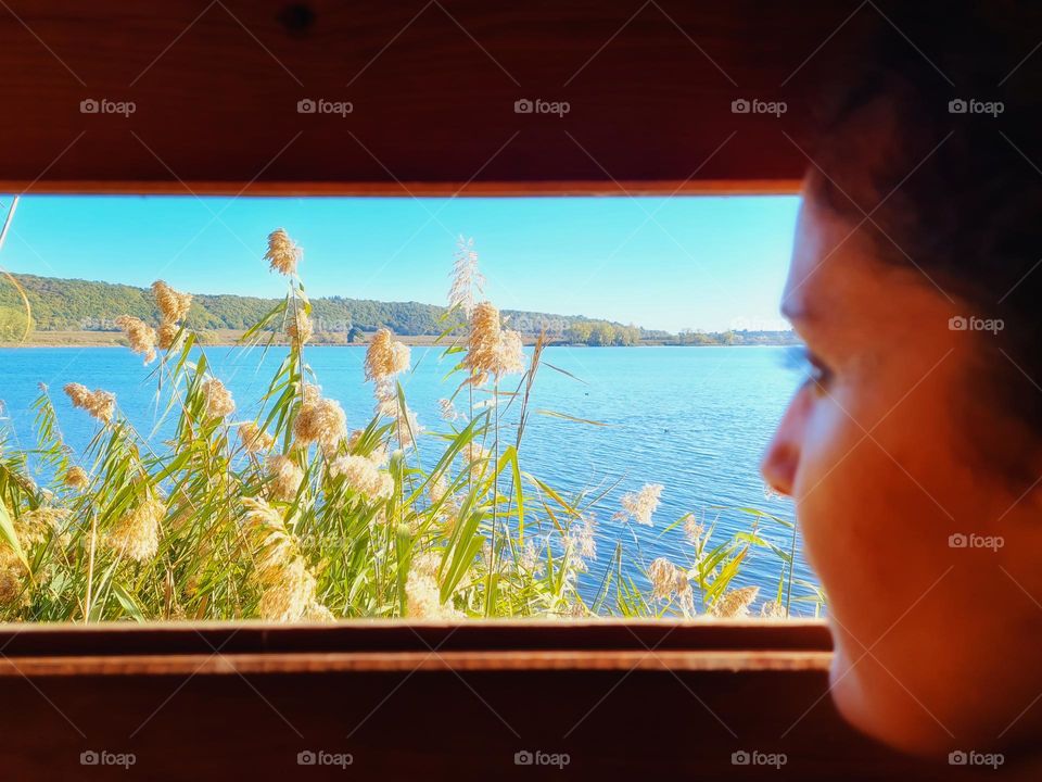 close up of woman birdwatching looking out of a window