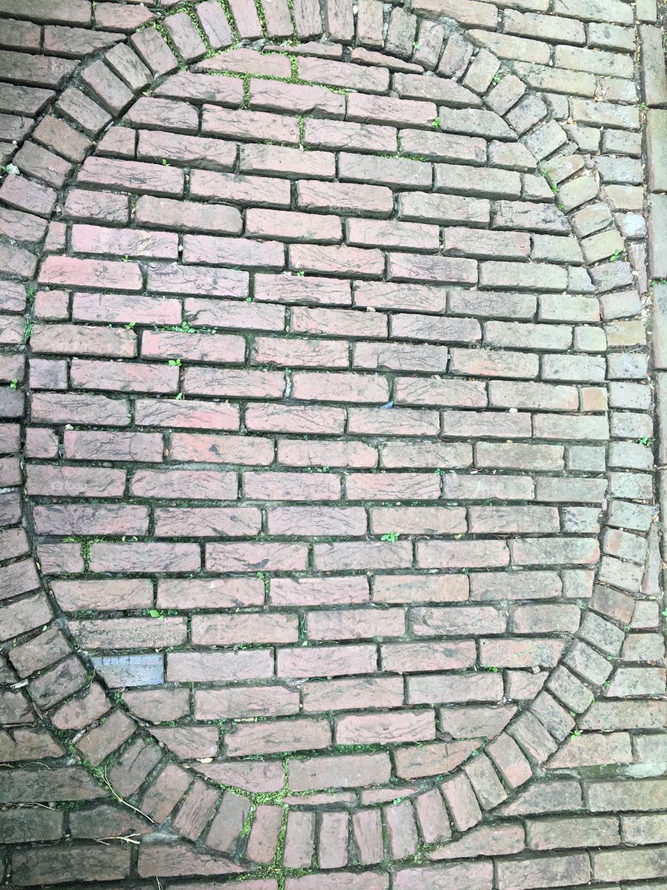 Brick sidewalks 