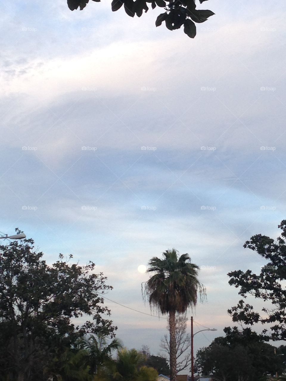 Neighborhood View


Published by:
HappyBrownMonkey 