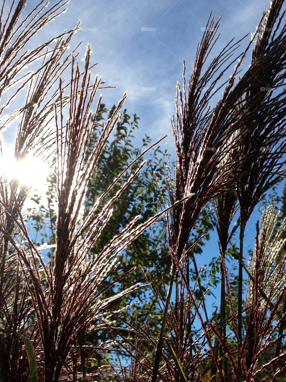 Blowing in the wind