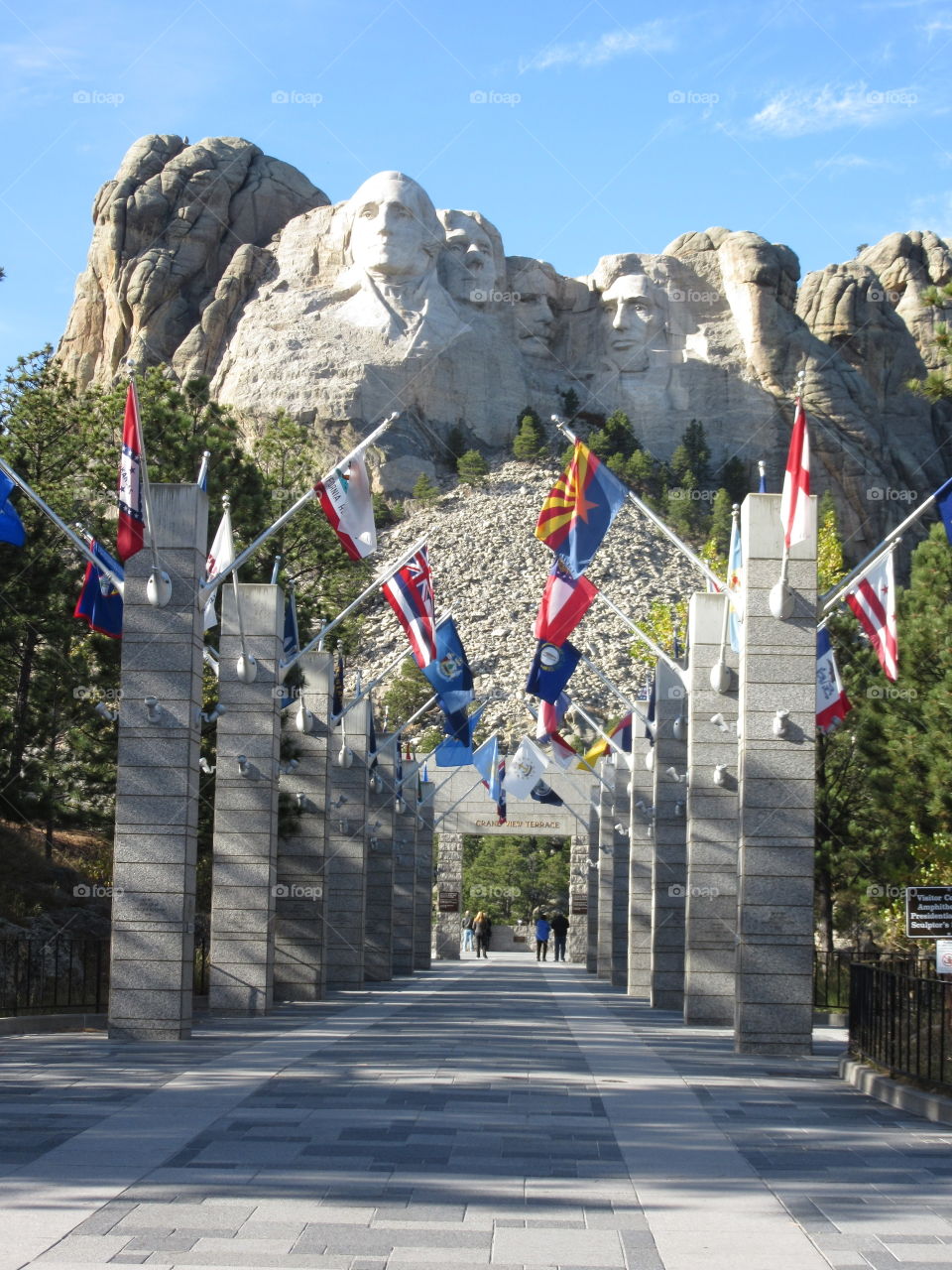 Freedom- flags to Rushmore 