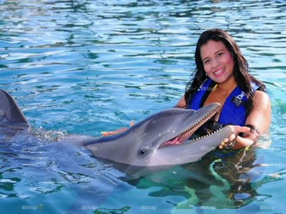 swimming with dolphin