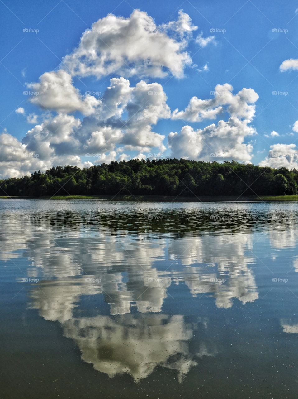 sunny day at the lake