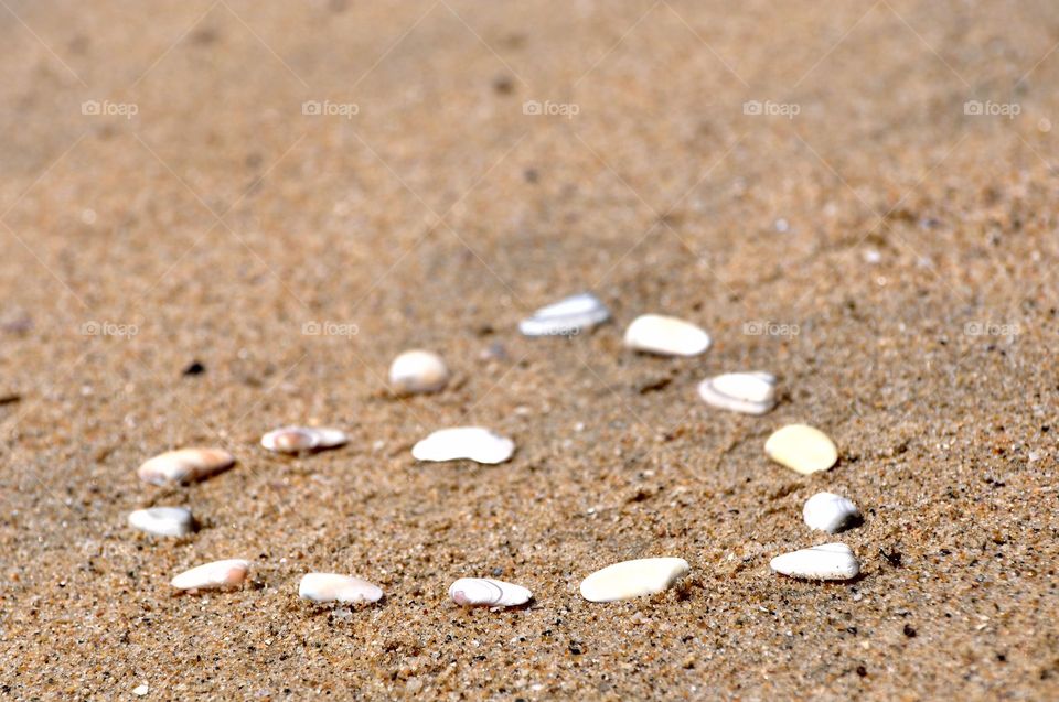 Seashells heart