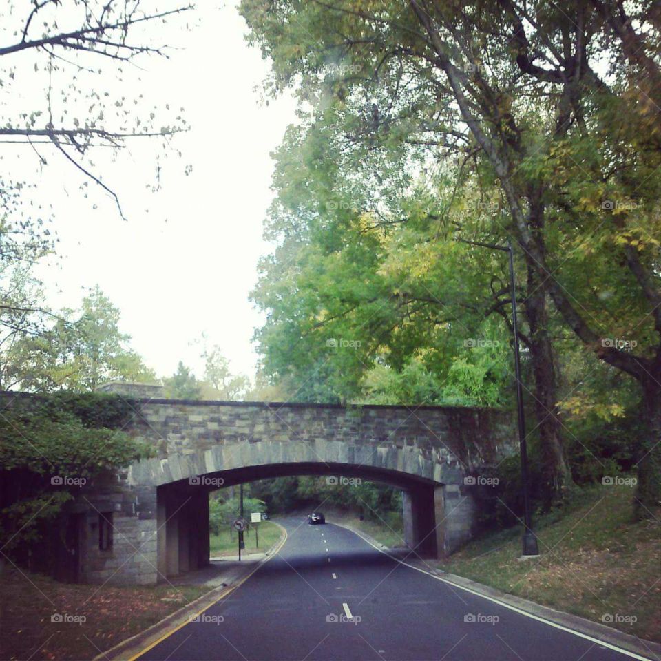 one of the many DC bridges.