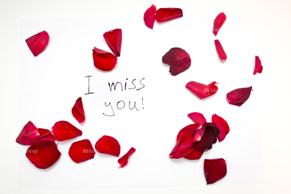 Red Rose Petals With Love Word Text Message Isolated In White Background
