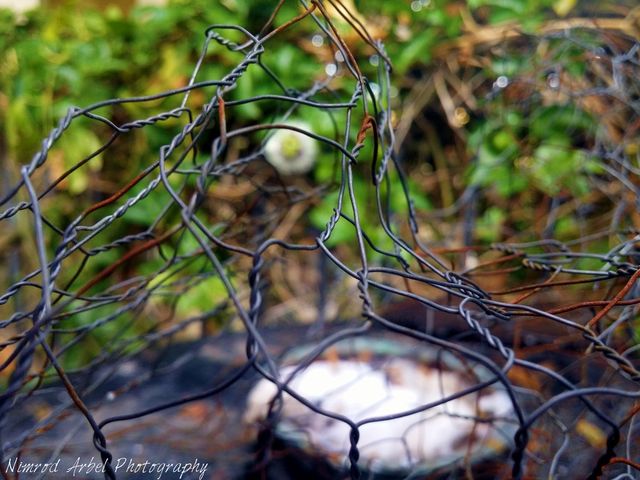 behind bars