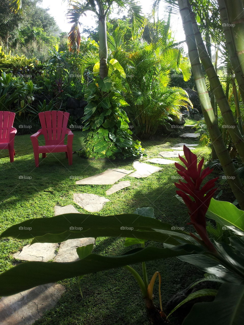 Hawaiian Garden Path