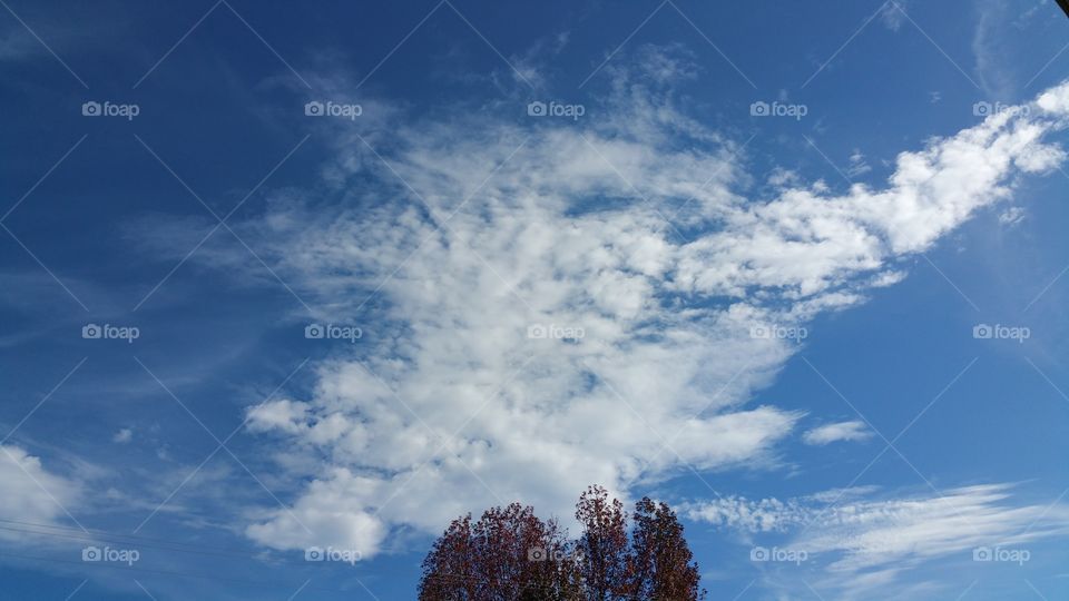 Fluffy clouds with tree