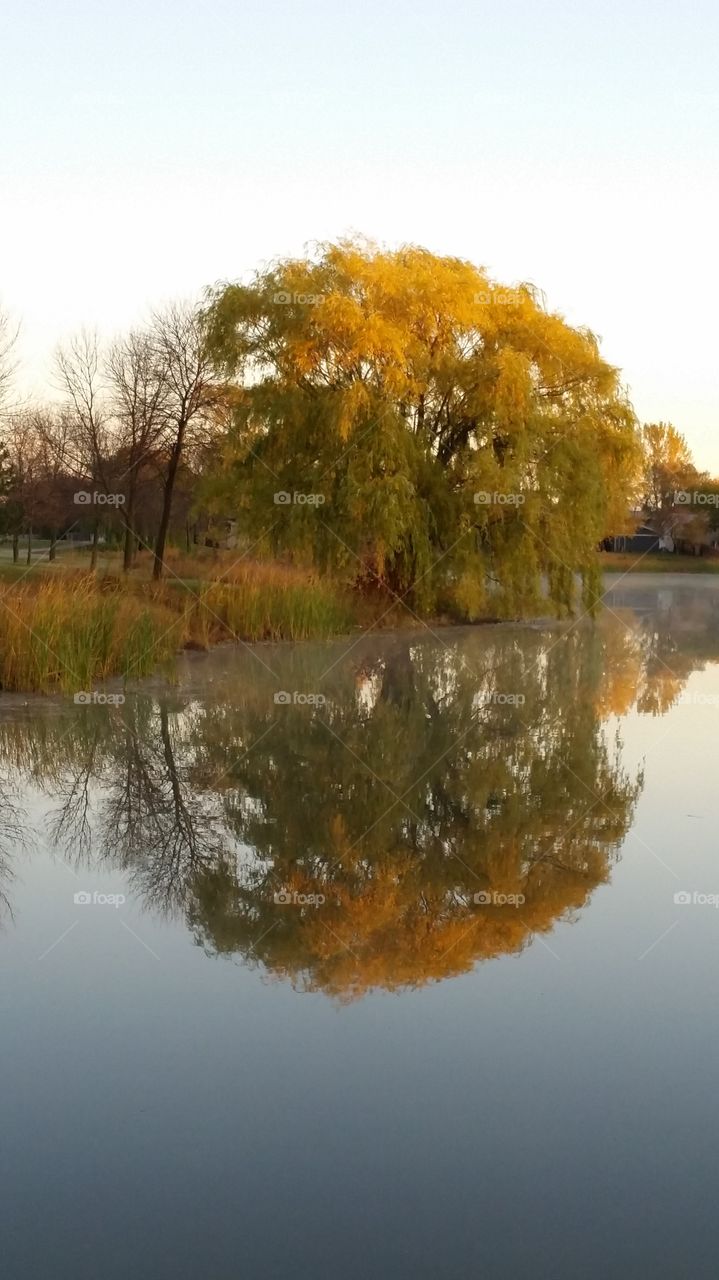 fall reflections. steam rises into cooling air